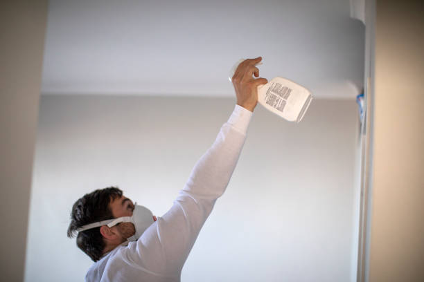 Best Fast Mold Removal  in West Belmar, NJ